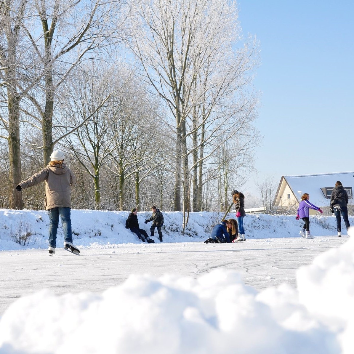 PreJunior Mississauga Skating Club